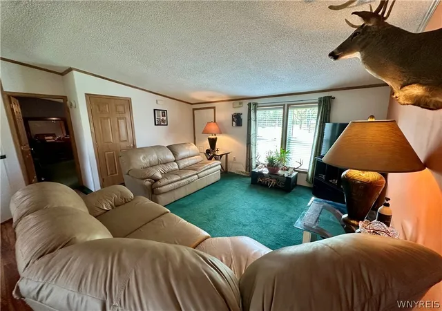 Homes for sale in East Otto, NY | 8090 E Otto Otto Rd, East Otto, NY 14729 | MLS# B1681132