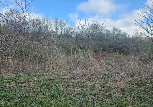 3rd image of Dutch Valley Rd, Edmeston, NY 13335 | MLS# R1682712
