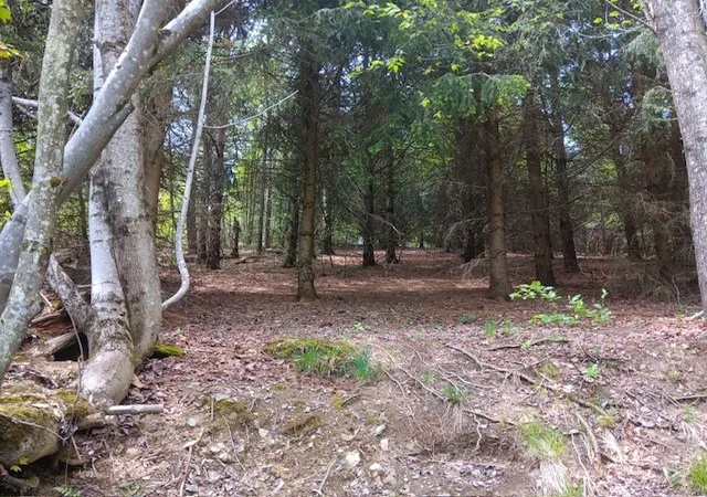 3rd image of 902 West Hill Road, Worcester, NY 12197 | MLS# R1682971