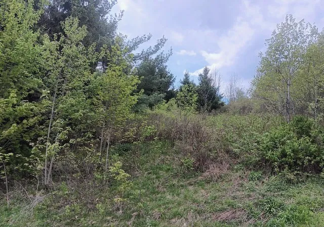 4th image of 902 West Hill Road, Worcester, NY 12197 | MLS# R1682971