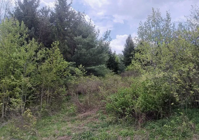 5th image of 902 West Hill Road, Worcester, NY 12197 | MLS# R1682971