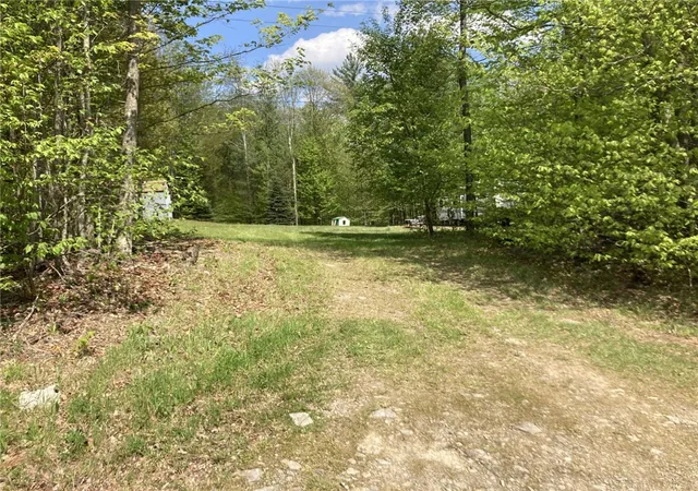 Homes for sale in Franklin, NY | 0 Baker Rd, Franklin, NY 13839 | MLS# R1683081