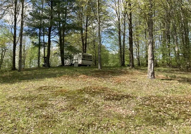Homes for sale in Franklin, NY | 0 Baker Rd, Franklin, NY 13839 | MLS# R1683081
