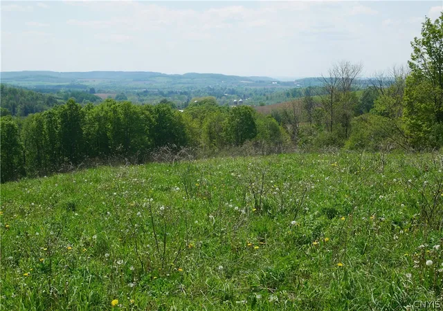 1st image of Canning Factory Rd, Waterville, NY 13480 | MLS# S1682617