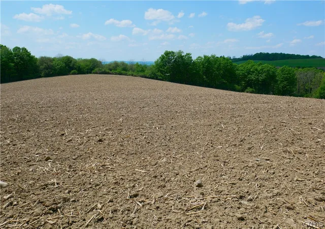 2nd image of Canning Factory Rd, Waterville, NY 13480 | MLS# S1682617