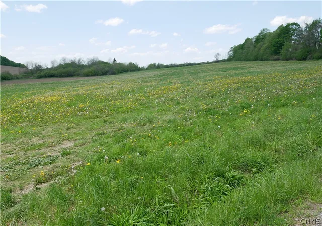 Photo 3 of House for sale at Canning Factory Rd, Waterville, NY 13480 | MLS# S1682617 | Listing updated on 2026-05-19