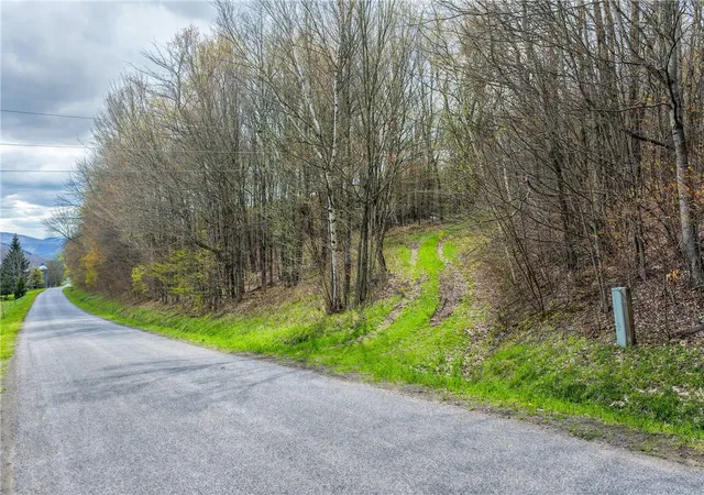 Photo 2 of Sale Pending at Lot 3 Brownell Rd, Bloomville, NY 13739 | MLS# R1682575 | Listing updated on 2026-07-29