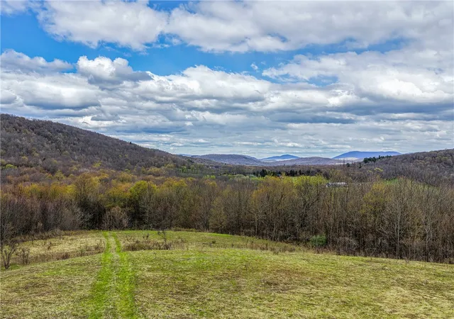 Photo 35 of Sale Pending at Lot 3 Brownell Rd, Bloomville, NY 13739 | MLS# R1682575 | Listing updated on 2026-07-29