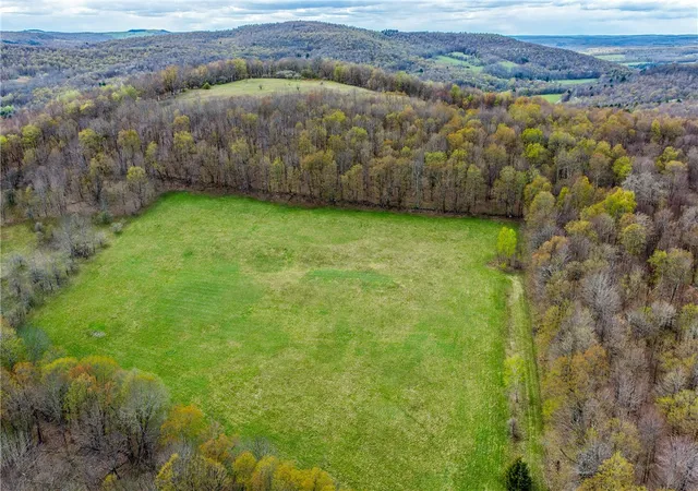 Photo 3 of Sale Pending at Lot 3 Brownell Rd, Bloomville, NY 13739 | MLS# R1682575 | Listing updated on 2026-07-29