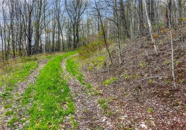 Photo 4 of Sale Pending at Lot 3 Brownell Rd, Bloomville, NY 13739 | MLS# R1682575 | Listing updated on 2026-07-29