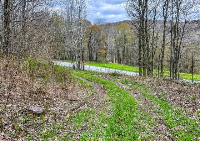 Photo 5 of Sale Pending at Lot 3 Brownell Rd, Bloomville, NY 13739 | MLS# R1682575 | Listing updated on 2026-07-29