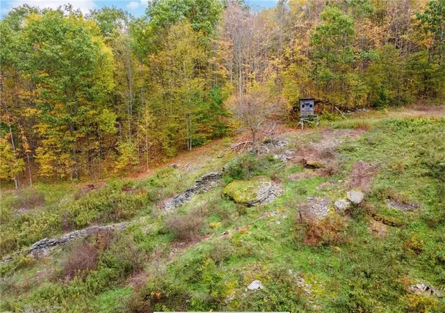 Photo 50 of Sale Pending at 734 Post Rd, Franklin, NY 13775 | MLS# R1682647 | Listing updated on 2026-07-17