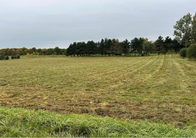 Photo 1 of Sale Pending at 0 Plank Rd, Calcium, NY 13616 | MLS# S1683233 | Listing updated on 2026-07-06