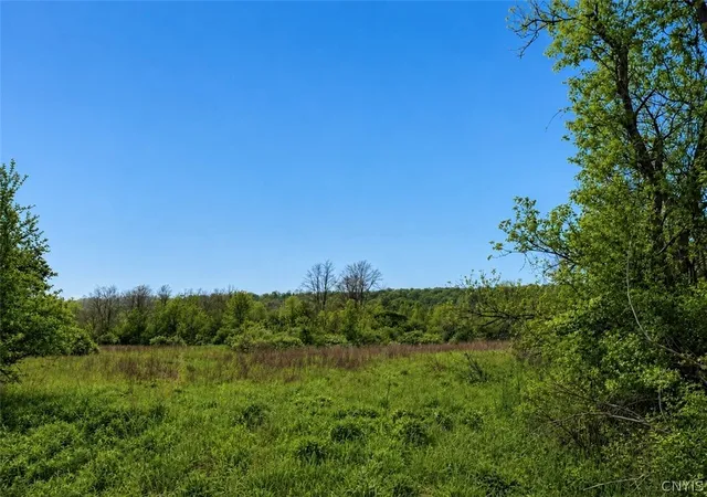 Photo 3 of Land for sale at 0 Oran Delphi Rd, Manlius, NY 13104 | MLS# S1683218 | Listing updated on 2026-05-20