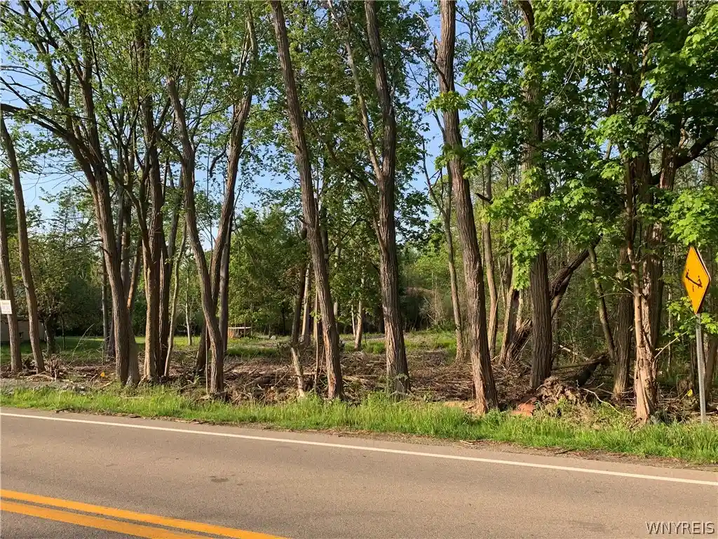 Land for sale at 716 Lake St, Angola, NY 14006 | MLS# B1683135