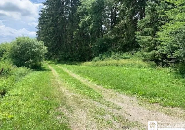 35th image of 905 Waterman Rd, Kennedy, NY 14747 | MLS# R1683097