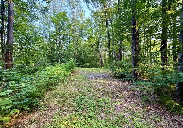 Homes for sale in Florence, NY | 11470 River Rd, Florence, NY 13316 | MLS# S1683319