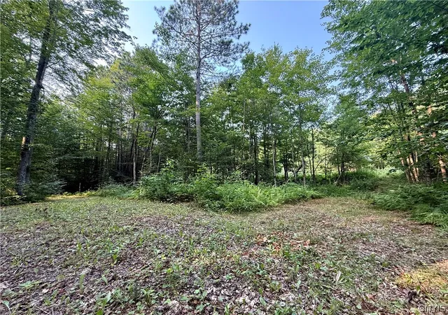 Homes for sale in Florence, NY | 11470 River Rd, Florence, NY 13316 | MLS# S1683319