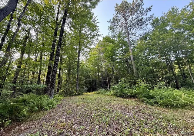 Homes for sale in Florence, NY | 11470 River Rd, Florence, NY 13316 | MLS# S1683319
