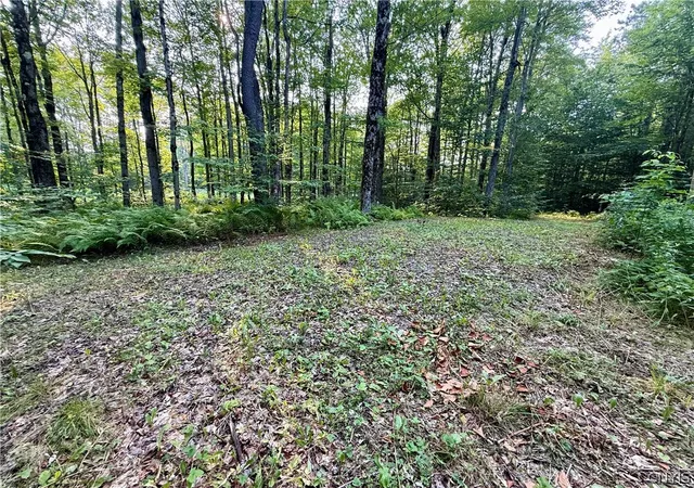 Homes for sale in Florence, NY | 11470 River Rd, Florence, NY 13316 | MLS# S1683319