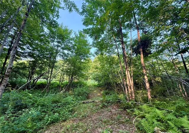Homes for sale in Florence, NY | 11470 River Rd, Florence, NY 13316 | MLS# S1683319