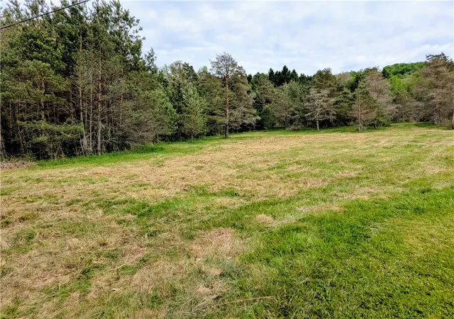 Homes for sale in Liberty Town, PA | 2 Two Mile Rd, Liberty Town, PA 16749 | MLS# R1683099