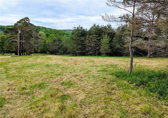 Homes for sale in Liberty Town, PA | 2 Two Mile Rd, Liberty Town, PA 16749 | MLS# R1683099