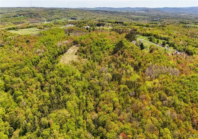 Homes for sale in Deerfield, NY | Smith Hill Rd, Deerfield, NY 13502 | MLS# S1683535