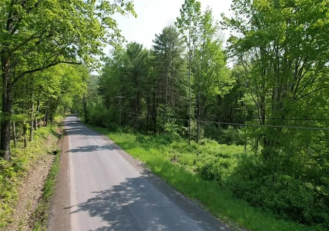 2nd image of 0 Cemetery Hill Rd, Oneonta, NY 13820 | MLS# R1683584