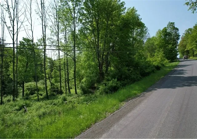 3rd image of 0 Cemetery Hill Rd, Oneonta, NY 13820 | MLS# R1683584