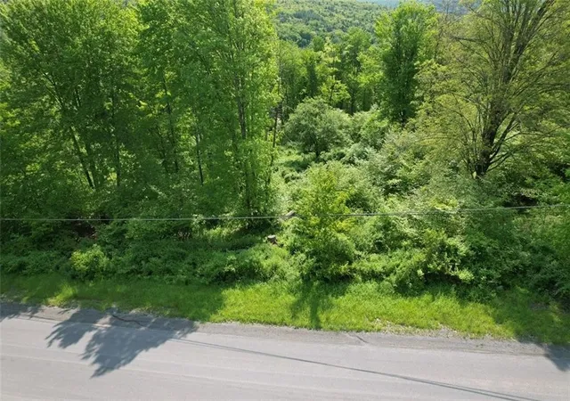4th image of 0 Cemetery Hill Rd, Oneonta, NY 13820 | MLS# R1683584