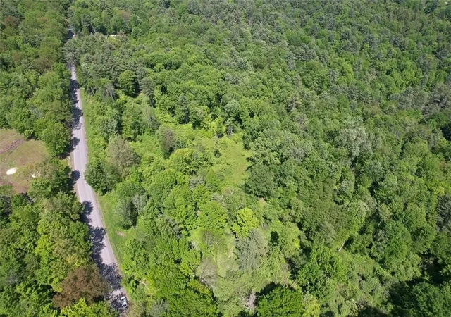 5th image of 0 Cemetery Hill Rd, Oneonta, NY 13820 | MLS# R1683584