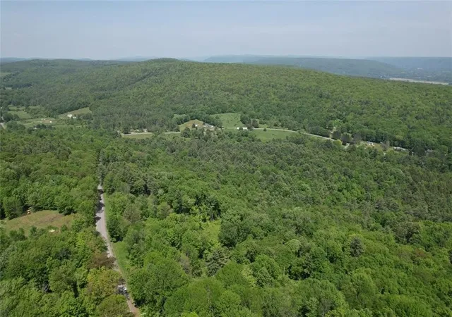 7th image of 0 Cemetery Hill Rd, Oneonta, NY 13820 | MLS# R1683584