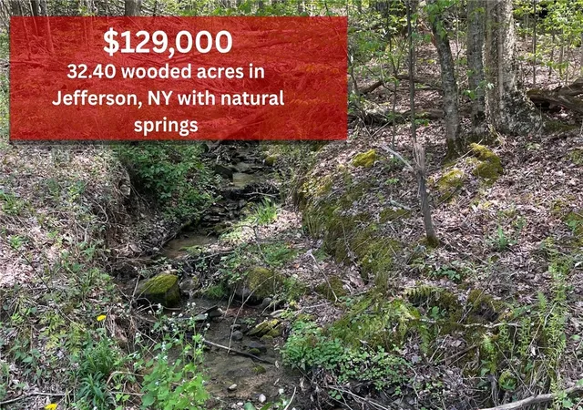 1st image of 1 20 Sternberg Rd, Jefferson, NY 12093 | MLS# R1683012