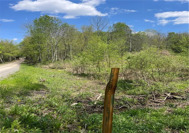 2nd image of 1 20 Sternberg Rd, Jefferson, NY 12093 | MLS# R1683012