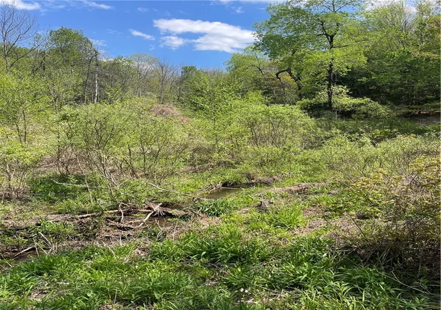 3rd image of 1-20 Sternberg Rd, Jefferson, NY 12093 | MLS# R1683012