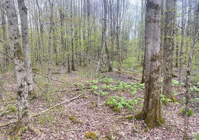 Photo 2 of Sale Pending at 6281 E Hill Rd, Caneadea, NY 14717 | MLS# S1683686 | Listing updated on 2026-05-30