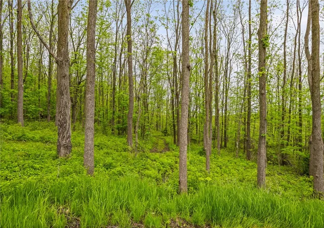 Photo 3 of Land for sale at 9380 Big Tree Rd, Hemlock, NY 14466 | MLS# R1679539 | Listing updated on 2026-07-19