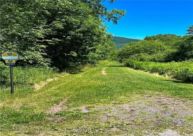 Homes for sale in Roxbury, NY | 263 Schuman Rd, Roxbury, NY 12474 | MLS# R1683865