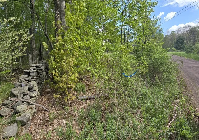 Homes for sale in Stamford, NY | Adams Hill Rd, Stamford, NY 12167 | MLS# R1683628