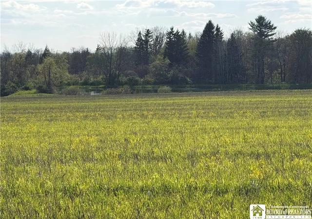 Photo 4 of House for sale at 00 Scott Hl Vl Rd, Jamestown, NY 14701 | MLS# R1680004 | Listing updated on 2026-06-01
