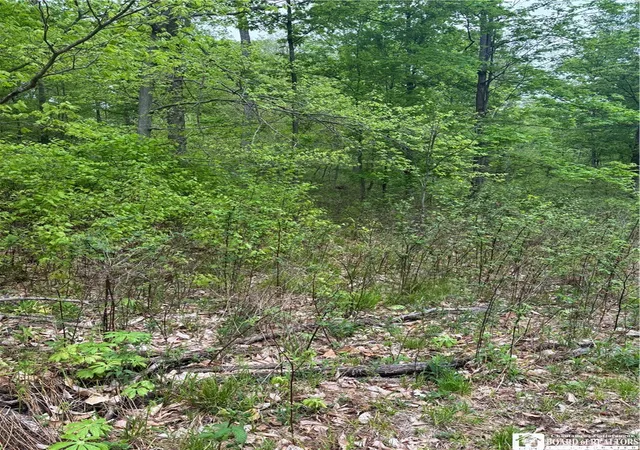 Homes for sale in Wellsville, NY | Fulmer Valley Rd, Wellsville, NY 14895 | MLS# R1683635