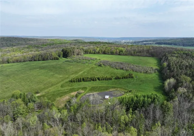 Homes for sale in Franklinville, NY | E Hill Rd, Franklinville, NY 14737 | MLS# S1683979