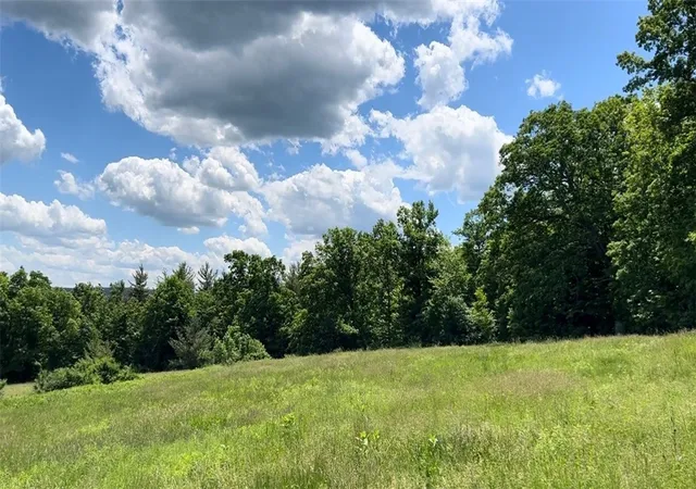 Homes for sale in Urbana, NY | 0 Middle Road Road, Urbana, NY 14840 | MLS# R1683247