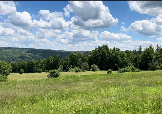 Homes for sale in Urbana, NY | 0 Middle Road Road, Urbana, NY 14840 | MLS# R1683247