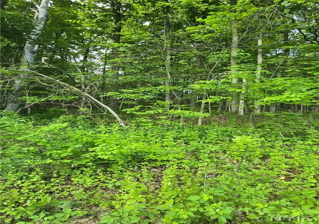 3rd image of Saunders Rd, Clinton, NY 13323 | MLS# S1684006