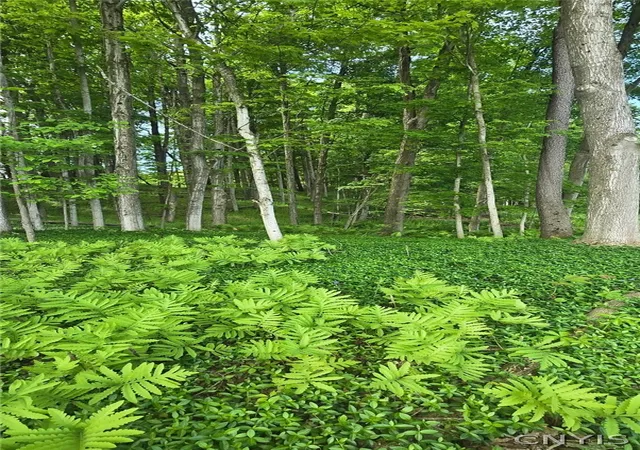 4th image of Saunders Rd, Clinton, NY 13323 | MLS# S1684006