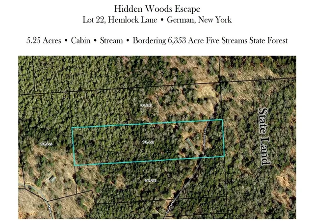 43rd image of Id# 141 2 22 Hemlock Ln, German, NY 13040 | MLS# R1683991