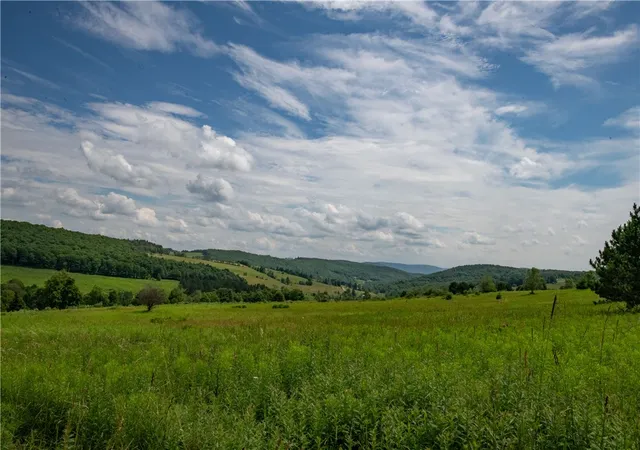 Homes for sale in Franklin, NY | 2690 Freer Hollow Rd, Franklin, NY 13755 | MLS# R1684183