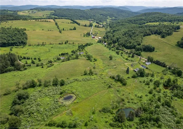 Homes for sale in Franklin, NY | 2690 Freer Hollow Rd, Franklin, NY 13755 | MLS# R1684183